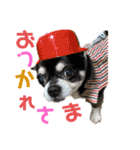 けだまたち（個別スタンプ：22）