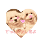 わんちゃんズ❤️2（個別スタンプ：2）