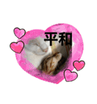 うちの猫たちの割も使えるスタンプ（個別スタンプ：11）
