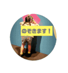 おつきさまno.7（個別スタンプ：8）