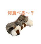 こまちよ（個別スタンプ：5）
