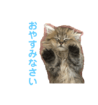 こまちよ（個別スタンプ：6）