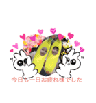 AB（個別スタンプ：6）