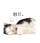パッツン猫のまるちゃん（個別スタンプ：6）