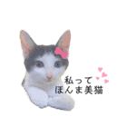 パッツン猫のまるちゃん（個別スタンプ：13）