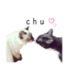 パッツン猫のまるちゃん（個別スタンプ：14）