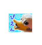 表情ゆたか♪チワワ好きのまめたんスタンプ（個別スタンプ：13）