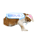 大きなちびスタンプ（個別スタンプ：1）