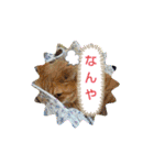 大きなちびスタンプ（個別スタンプ：2）