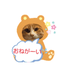 大きなちびスタンプ（個別スタンプ：9）