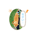 大きなちびスタンプ（個別スタンプ：14）