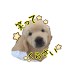 笑平くんスタンプ（個別スタンプ：1）