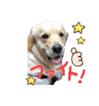笑平くんスタンプ（個別スタンプ：4）