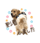 笑平くんスタンプ（個別スタンプ：6）