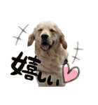 笑平くんスタンプ（個別スタンプ：18）