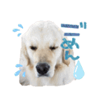 笑平くんスタンプ（個別スタンプ：33）