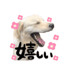 笑平くんスタンプ（個別スタンプ：40）