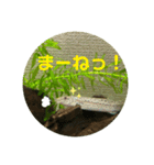 ドジョウらぶ3（個別スタンプ：9）