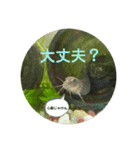 ドジョウらぶ3（個別スタンプ：10）
