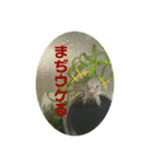ドジョウらぶ3（個別スタンプ：11）