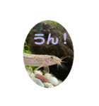 ドジョウらぶ3（個別スタンプ：19）