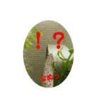 ドジョウらぶ3（個別スタンプ：21）