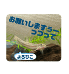 ドジョウらぶ3（個別スタンプ：23）