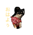 らいむの日常1（個別スタンプ：2）