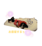 らいむの日常1（個別スタンプ：17）