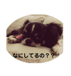 らいむの日常2（個別スタンプ：5）