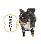 らいむの日常2（個別スタンプ：8）