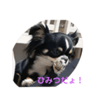 らいむの日常2（個別スタンプ：20）