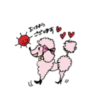 pink-poodle 1（個別スタンプ：1）