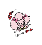 pink-poodle 1（個別スタンプ：5）