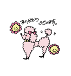 pink-poodle 1（個別スタンプ：8）