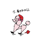 pink-poodle 1（個別スタンプ：18）