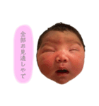 ゆず誕スタンプ（個別スタンプ：5）