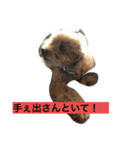京都弁プーちゃん スタンプ（個別スタンプ：2）