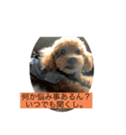 京都弁プーちゃん スタンプ（個別スタンプ：6）