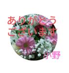 小野氏スタンプ（個別スタンプ：7）