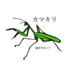 ゆるめの昆虫図鑑（個別スタンプ：1）
