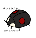ゆるめの昆虫図鑑（個別スタンプ：3）