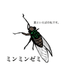 ゆるめの昆虫図鑑（個別スタンプ：4）