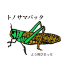 ゆるめの昆虫図鑑（個別スタンプ：9）
