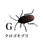 ゆるめの昆虫図鑑（個別スタンプ：13）