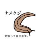 ゆるめの昆虫図鑑（個別スタンプ：19）
