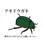 ゆるめの昆虫図鑑（個別スタンプ：20）
