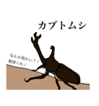 ゆるめの昆虫図鑑（個別スタンプ：21）