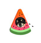 愛犬いちごスタンプ（個別スタンプ：2）