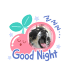 愛犬いちごスタンプ（個別スタンプ：4）